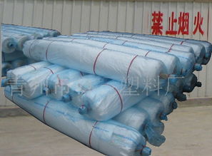 青州海飛塑料 優質灌漿膜供應，價格合理，產品圖片展示